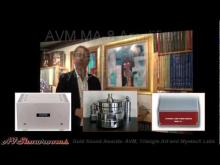Gold Sound Awards, AVM Amplifier, Triangle Art Turntable, Wyetech Ruby P1 Phono
